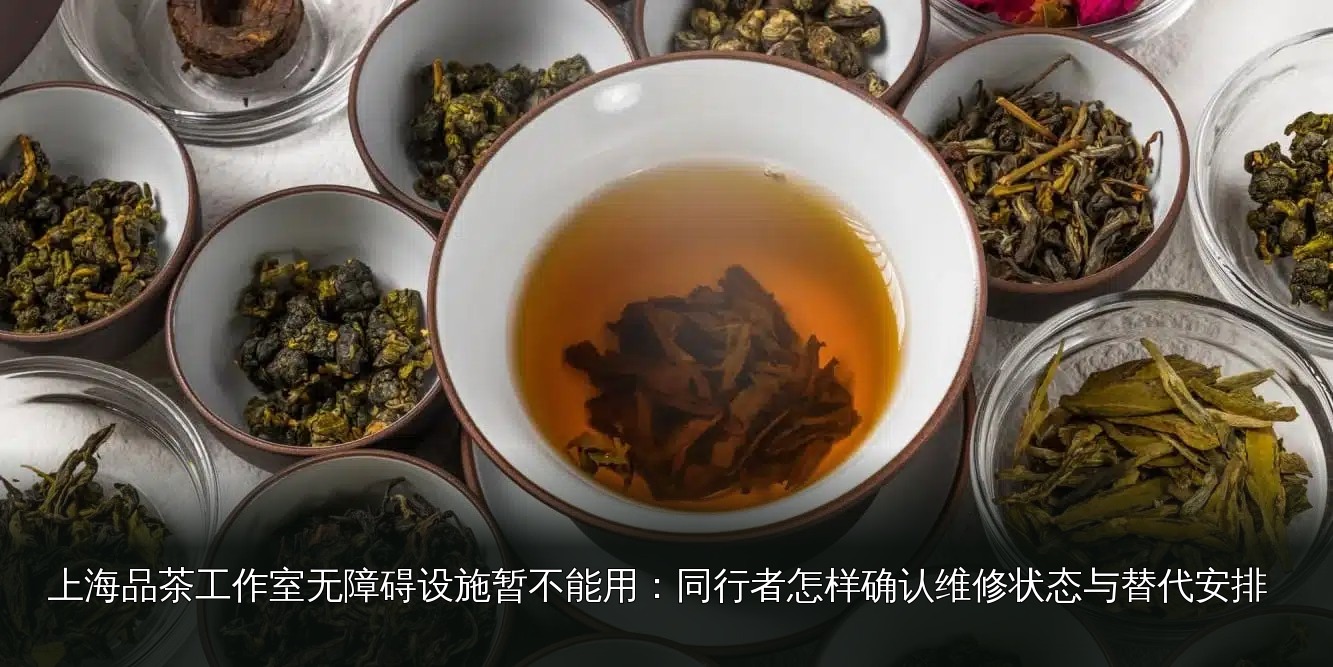 品茶素材｜059｜茶席与茶具